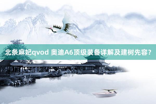 北条麻妃qvod 奥迪A6顶级装备详解及建树先容？