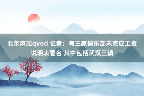 北条麻妃qvod 记者：有三家俱乐部未完成工资说明表署名 其中包括武汉三镇