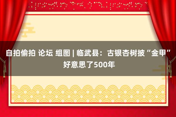 自拍偷拍 论坛 组图 | 临武县：古银杏树披“金甲” 好意思了500年