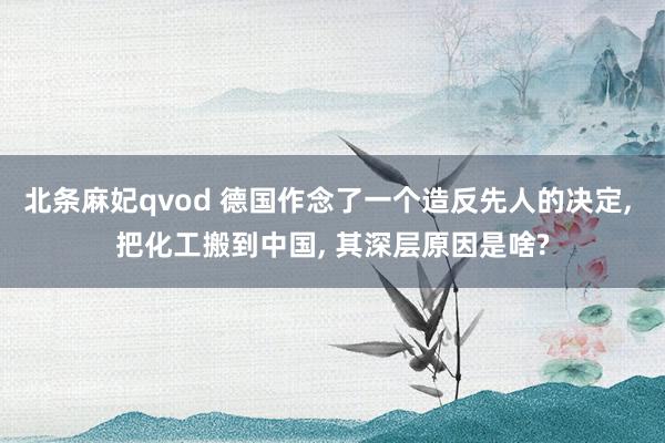 北条麻妃qvod 德国作念了一个造反先人的决定, 把化工搬到中国, 其深层原因是啥?