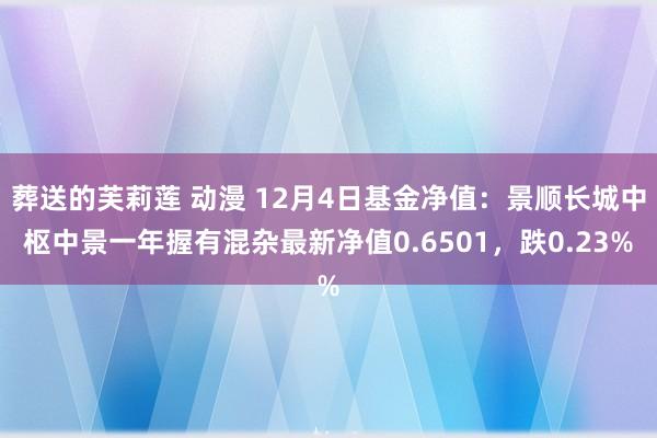 葬送的芙莉莲 动漫 12月4日基金净值：景顺长城中枢中景一年握有混杂最新净值0.6501，跌0.23%