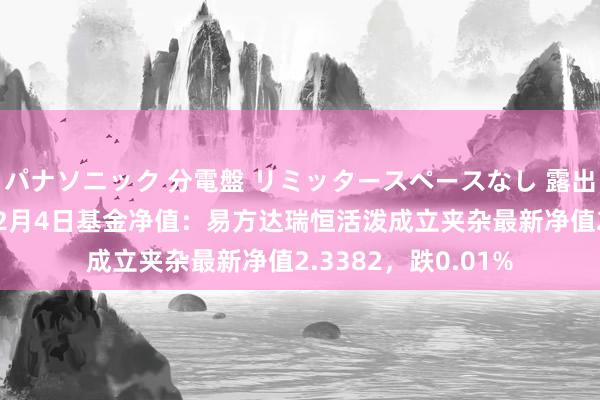 パナソニック 分電盤 リミッタースペースなし 露出・半埋込両用形 12月4日基金净值：易方达瑞恒活泼成立夹杂最新净值2.3382，跌0.01%