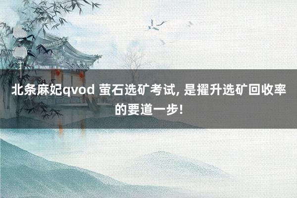 北条麻妃qvod 萤石选矿考试, 是擢升选矿回收率的要道一步!