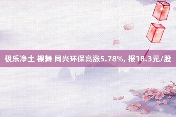 极乐净土 裸舞 同兴环保高涨5.78%, 报18.3元/股