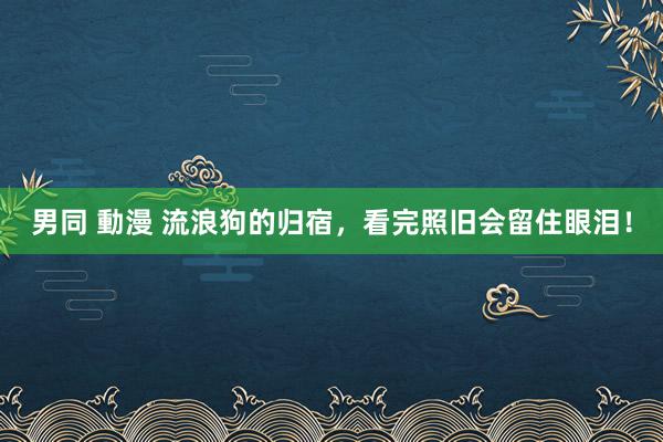 男同 動漫 流浪狗的归宿，看完照旧会留住眼泪！