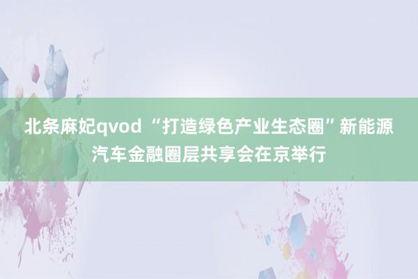 北条麻妃qvod “打造绿色产业生态圈”新能源汽车金融圈层共享会在京举行