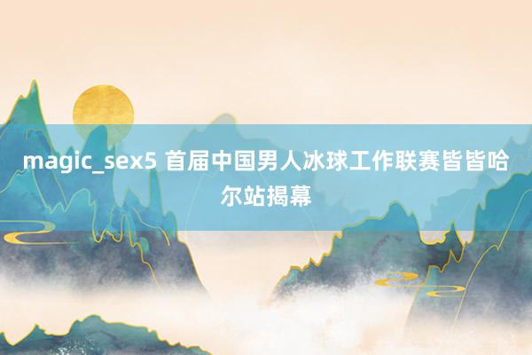 magic_sex5 首届中国男人冰球工作联赛皆皆哈尔站揭幕