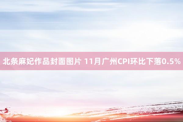 北条麻妃作品封面图片 11月广州CPI环比下落0.5%