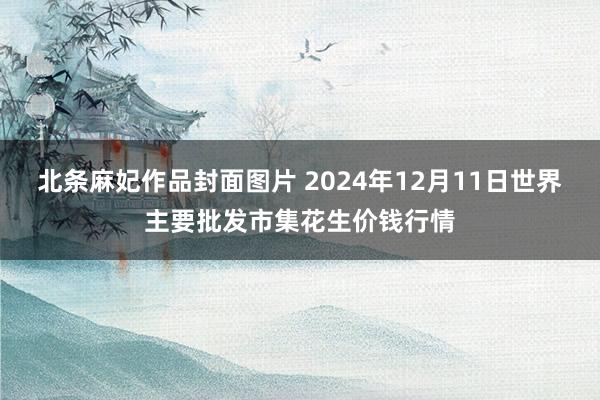 北条麻妃作品封面图片 2024年12月11日世界主要批发市集花生价钱行情