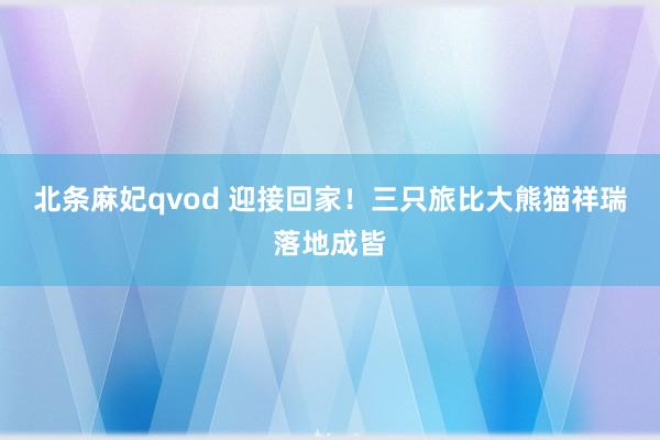 北条麻妃qvod 迎接回家！三只旅比大熊猫祥瑞落地成皆