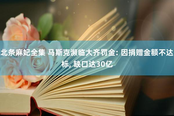 北条麻妃全集 马斯克濒临大齐罚金: 因捐赠金额不达标, 缺口达30亿