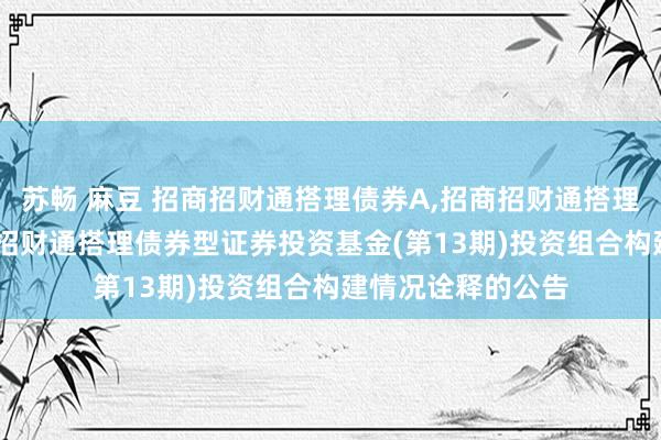 苏畅 麻豆 招商招财通搭理债券A,招商招财通搭理债券C: 对于招商招财通搭理债券型证券投资基金(第13期)投资组合构建情况诠释的公告