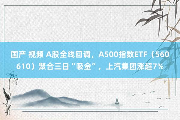 国产 视频 A股全线回调，A500指数ETF（560610）聚合三日“吸金”，上汽集团涨超7%