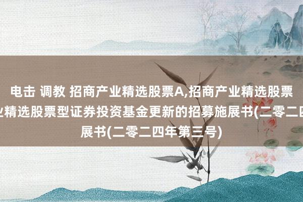 电击 调教 招商产业精选股票A,招商产业精选股票C: 招商产业精选股票型证券投资基金更新的招募施展书(二零二四年第三号)