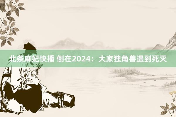 北条麻妃快播 倒在2024：大家独角兽遇到死灭