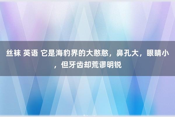 丝袜 英语 它是海豹界的大憨憨，鼻孔大，眼睛小，但牙齿却荒谬明锐