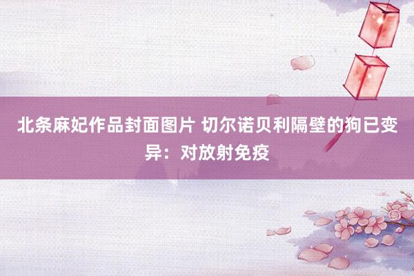 北条麻妃作品封面图片 切尔诺贝利隔壁的狗已变异：对放射免疫