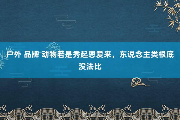 户外 品牌 动物若是秀起恩爱来，东说念主类根底没法比