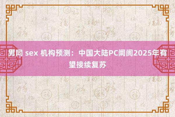 男同 sex 机构预测：中国大陆PC阛阓2025年有望接续复苏