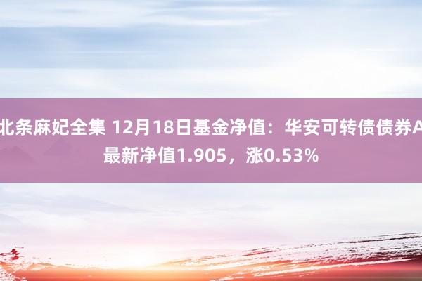 北条麻妃全集 12月18日基金净值：华安可转债债券A最新净值1.905，涨0.53%