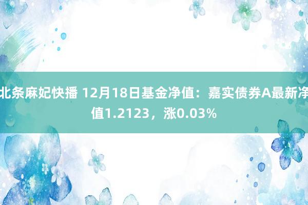 北条麻妃快播 12月18日基金净值：嘉实债券A最新净值1.2123，涨0.03%