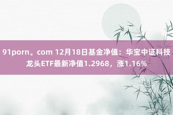 91porn。com 12月18日基金净值：华宝中证科技龙头ETF最新净值1.2968，涨1.16%