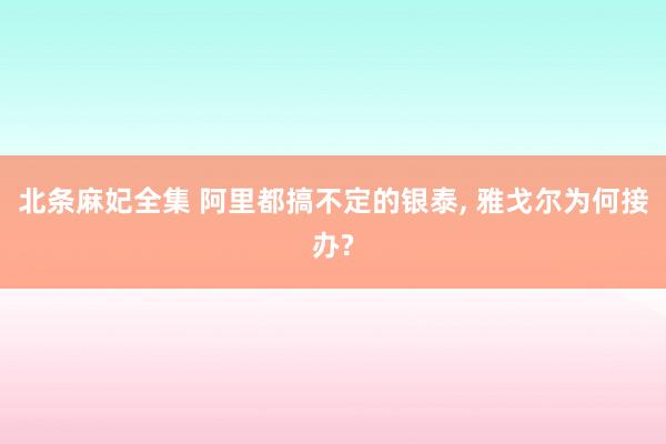 北条麻妃全集 阿里都搞不定的银泰, 雅戈尔为何接办?