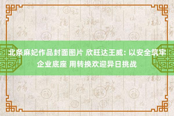 北条麻妃作品封面图片 欣旺达王威: 以安全筑牢企业底座 用转换欢迎异日挑战