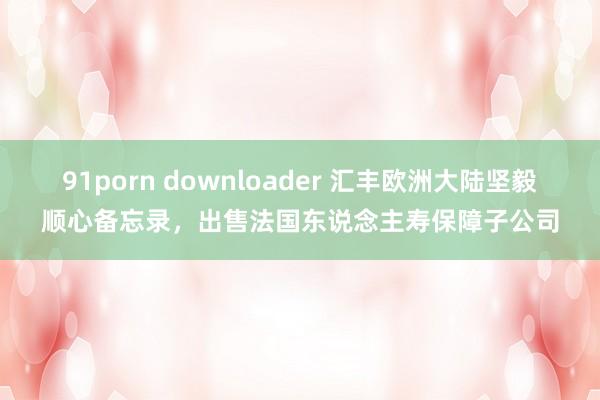 91porn downloader 汇丰欧洲大陆坚毅顺心备忘录，出售法国东说念主寿保障子公司