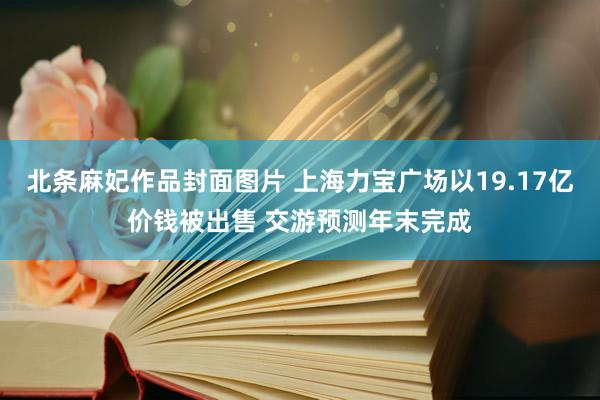 北条麻妃作品封面图片 上海力宝广场以19.17亿价钱被出售 交游预测年末完成