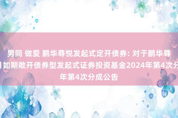 男同 做爱 鹏华尊悦发起式定开债券: 对于鹏华尊悦3个月如期敞开债券型发起式证券投资基金2024年第4次分成公告