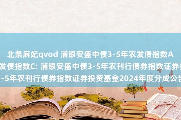 北条麻妃qvod 浦银安盛中债3-5年农发债指数A,浦银安盛中债3-5年农发债指数C: 浦银安盛中债3-5年农刊行债券指数证券投资基金2024年度分成公告