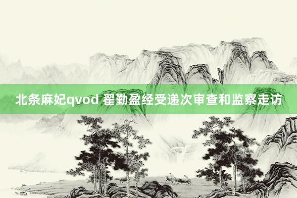 北条麻妃qvod 翟勤盈经受递次审查和监察走访