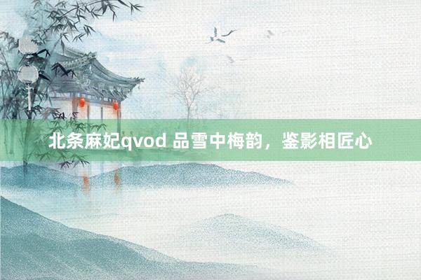 北条麻妃qvod 品雪中梅韵，鉴影相匠心