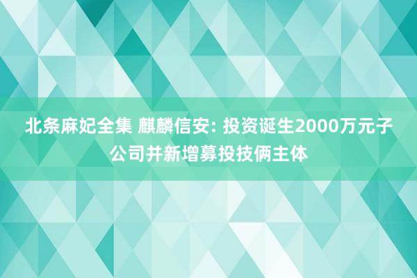 北条麻妃全集 麒麟信安: 投资诞生2000万元子公司并新增募投技俩主体