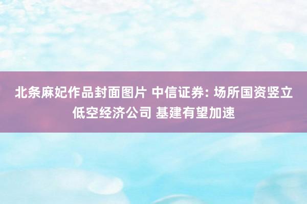 北条麻妃作品封面图片 中信证券: 场所国资竖立低空经济公司 基建有望加速