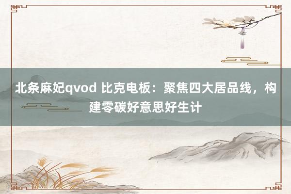 北条麻妃qvod 比克电板：聚焦四大居品线，构建零碳好意思好生计