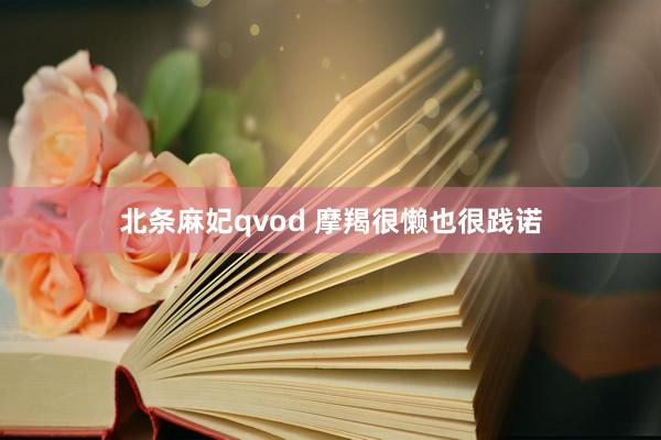 北条麻妃qvod 摩羯很懒也很践诺