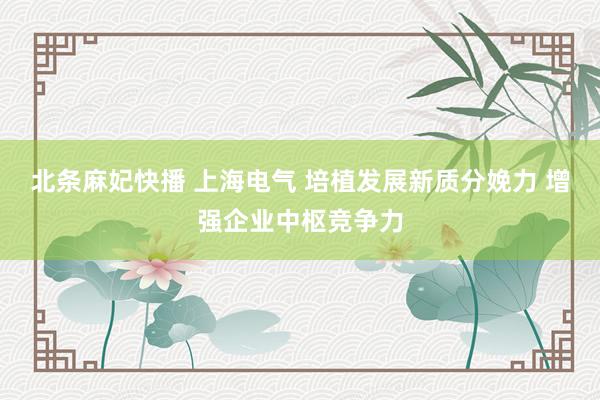 北条麻妃快播 上海电气 培植发展新质分娩力 增强企业中枢竞争力