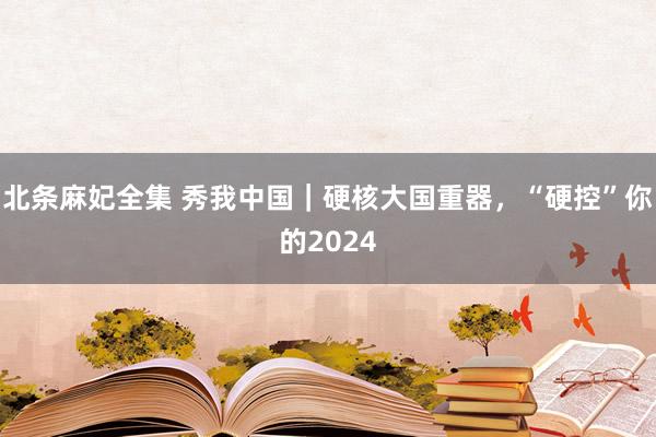 北条麻妃全集 秀我中国｜硬核大国重器，“硬控”你的2024