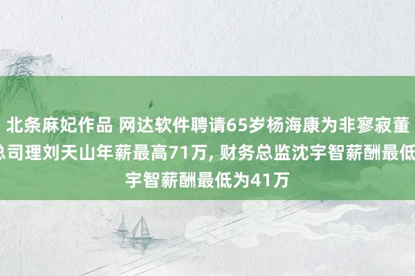 北条麻妃作品 网达软件聘请65岁杨海康为非寥寂董事, 副总司理刘天山年薪最高71万, 财务总监沈宇智薪酬最低为41万