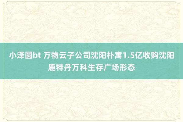 小泽圆bt 万物云子公司沈阳朴寓1.5亿收购沈阳鹿特丹万科生存广场形态