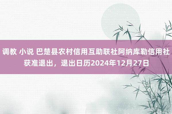 调教 小说 巴楚县农村信用互助联社阿纳库勒信用社获准退出，退出日历2024年12月27日