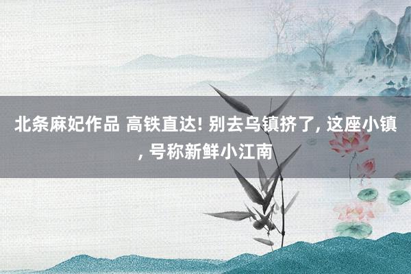 北条麻妃作品 高铁直达! 别去乌镇挤了, 这座小镇, 号称新鲜小江南