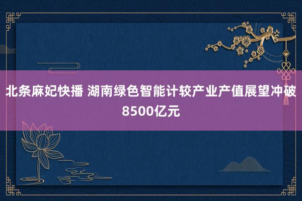 北条麻妃快播 湖南绿色智能计较产业产值展望冲破8500亿元