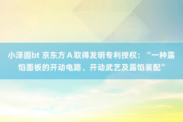 小泽圆bt 京东方Ａ取得发明专利授权：“一种露馅面板的开动电路、开动武艺及露馅装配”