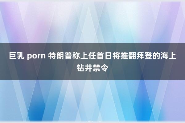 巨乳 porn 特朗普称上任首日将推翻拜登的海上钻井禁令