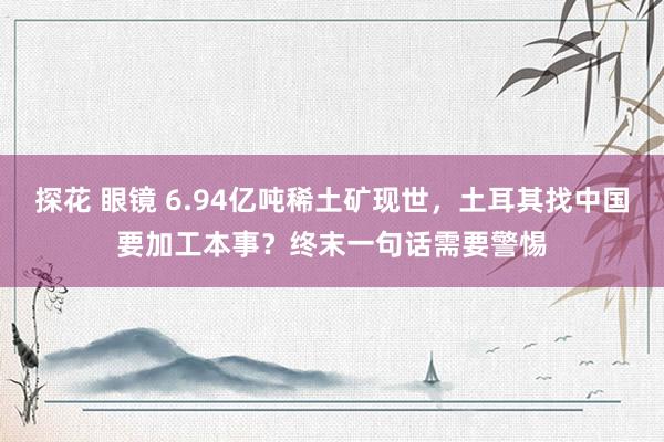 探花 眼镜 6.94亿吨稀土矿现世，土耳其找中国要加工本事？终末一句话需要警惕