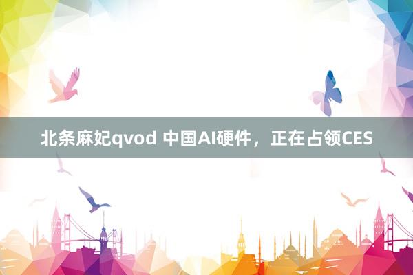 北条麻妃qvod 中国AI硬件，正在占领CES