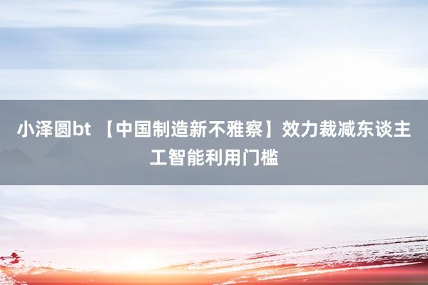 小泽圆bt 【中国制造新不雅察】效力裁减东谈主工智能利用门槛